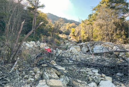 山腹崩壊地の写真